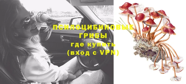твердый Дмитровск