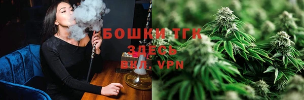 твердый Дмитровск