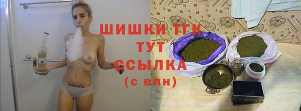 твердый Дмитровск