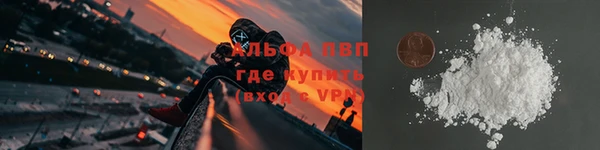 твердый Дмитровск