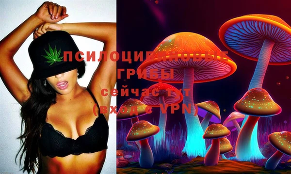 MDMA Дмитров