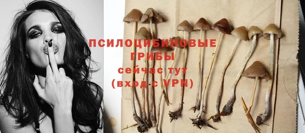 прущие крисы Дмитриев