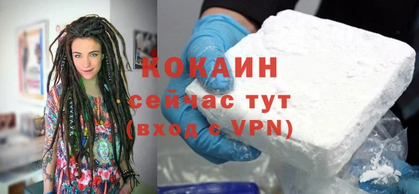 твердый Дмитровск