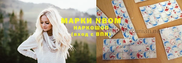 твердый Дмитровск