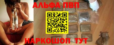 гашик Донской