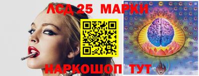 гашик Донской