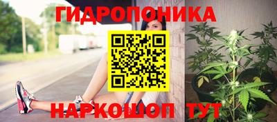 гашик Донской