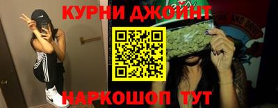 гашик Донской