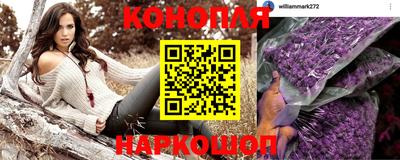 гашик Донской